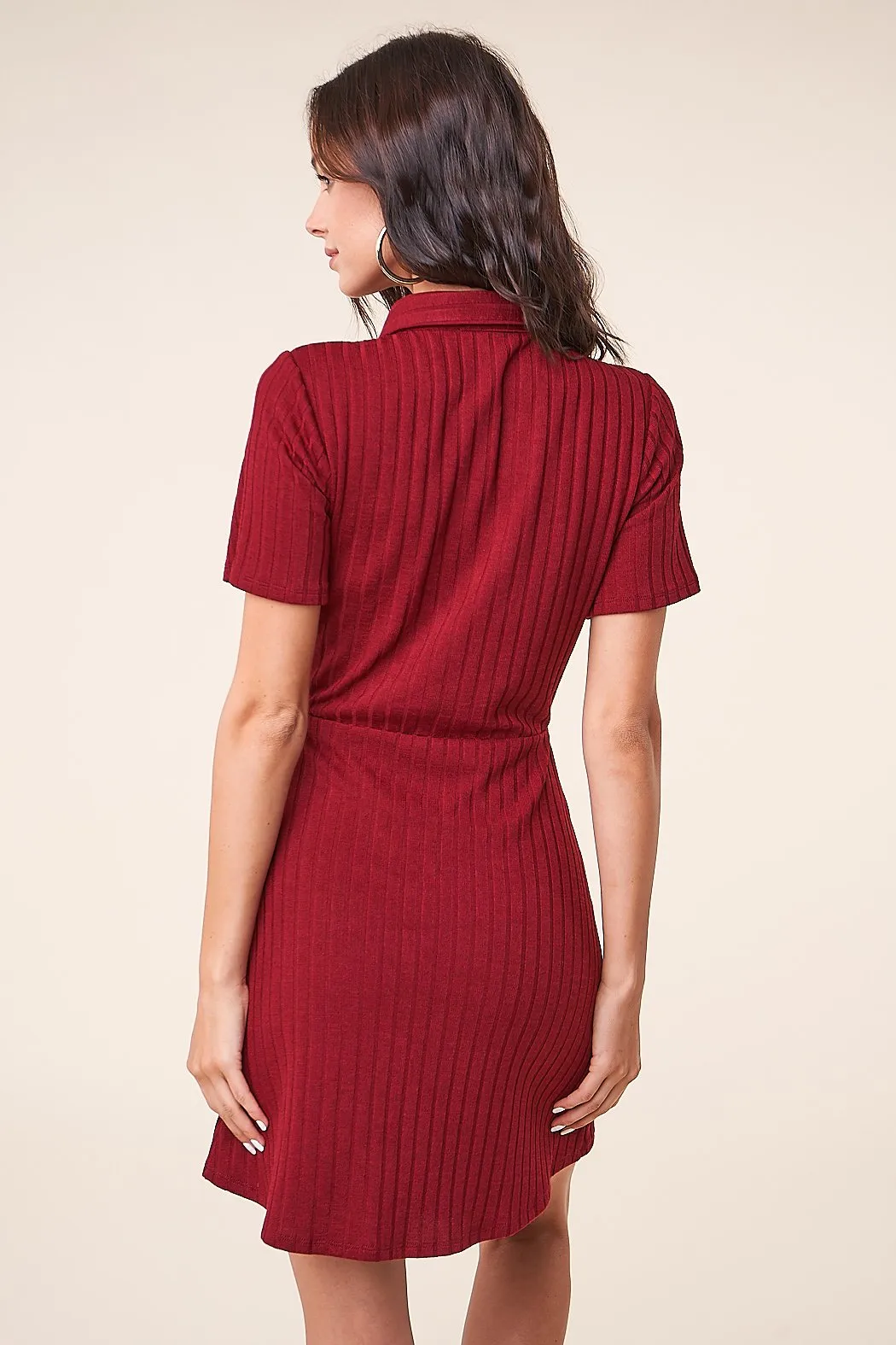 Oxford Button Up Mini Dress